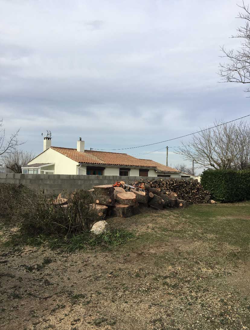 Abattage d'un sapin - chantier terminé